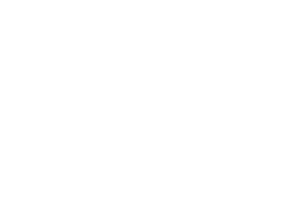 junglist movement